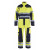 Multinorm overall