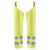 Regenchaps High Vis LEVEL 1