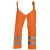Regenchaps High Vis LEVEL 1