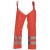Regenchaps High Vis LEVEL 1